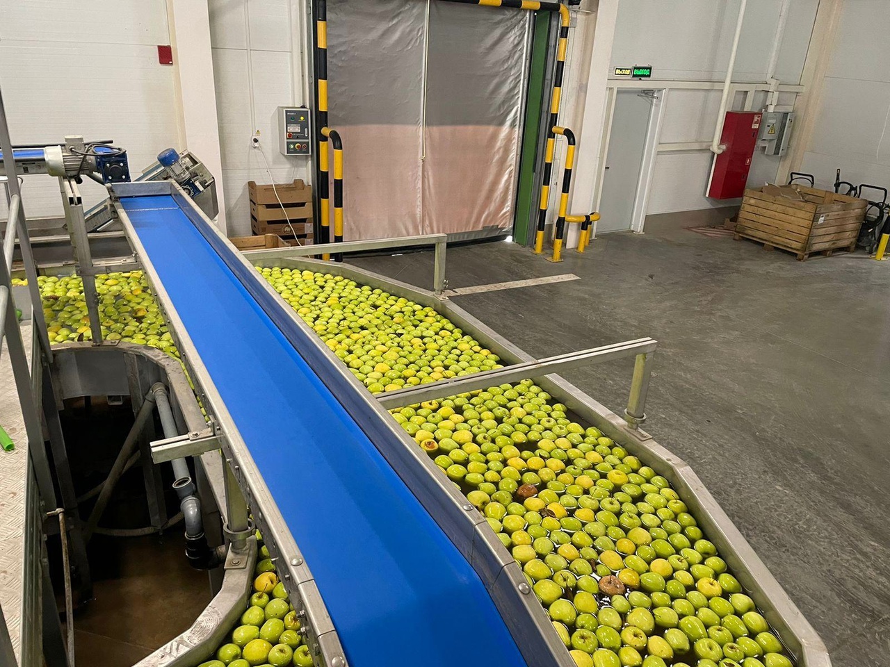 Министр сельского хозяйства Республики Крым Андрей Савчук посетил крупнейшее ООО «Фрукты Старого Крыма».