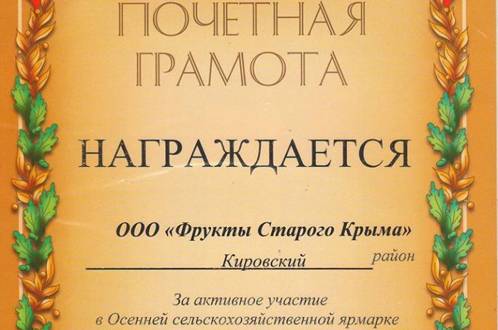 Нам вручена почетная грамота!