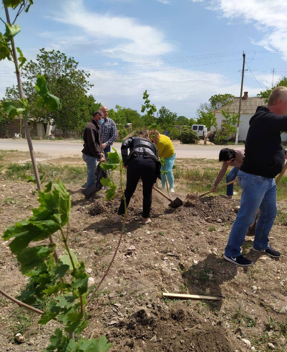 Высадка клёнов в Сквере Памяти в честь 75-летия Великой Победы
