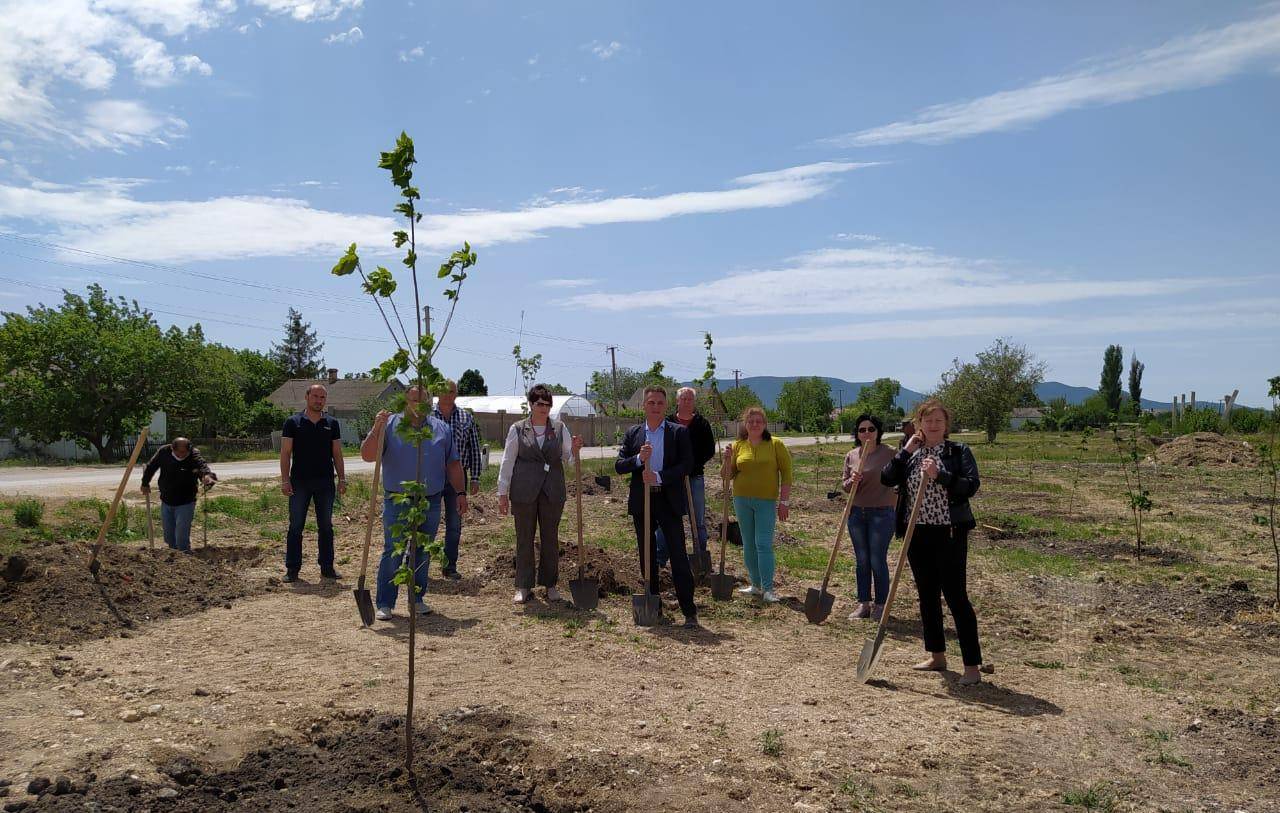 Высадка клёнов в Сквере Памяти в честь 75-летия Великой Победы