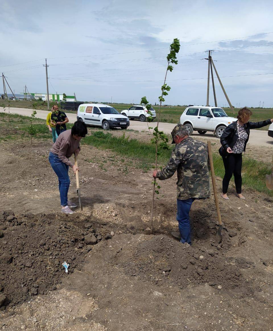 Высадка клёнов в Сквере Памяти в честь 75-летия Великой Победы