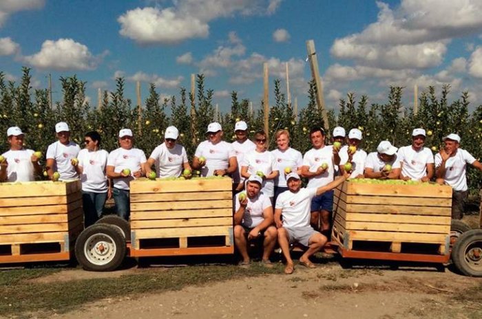 Первый сбор урожая