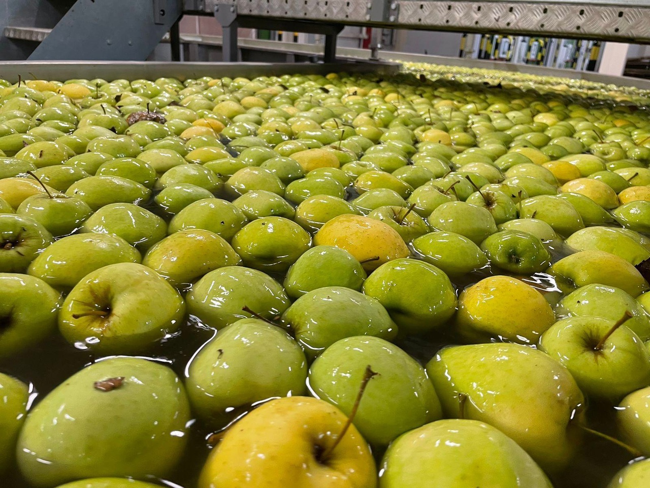 Министр сельского хозяйства Республики Крым Андрей Савчук посетил крупнейшее ООО «Фрукты Старого Крыма».