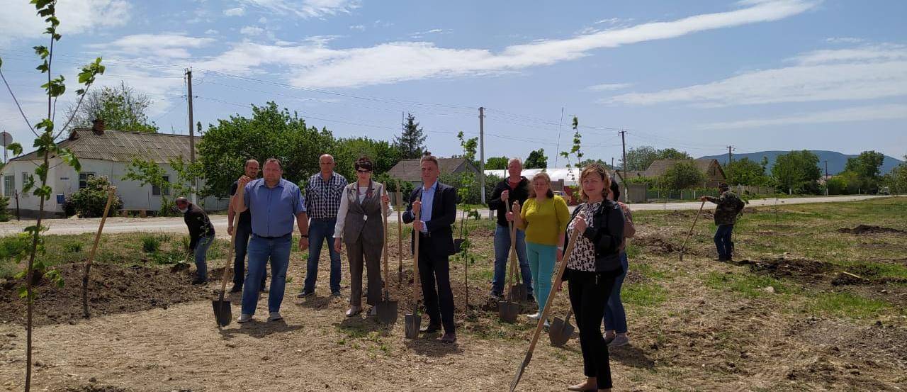 Высадка клёнов в Сквере Памяти в честь 75-летия Великой Победы