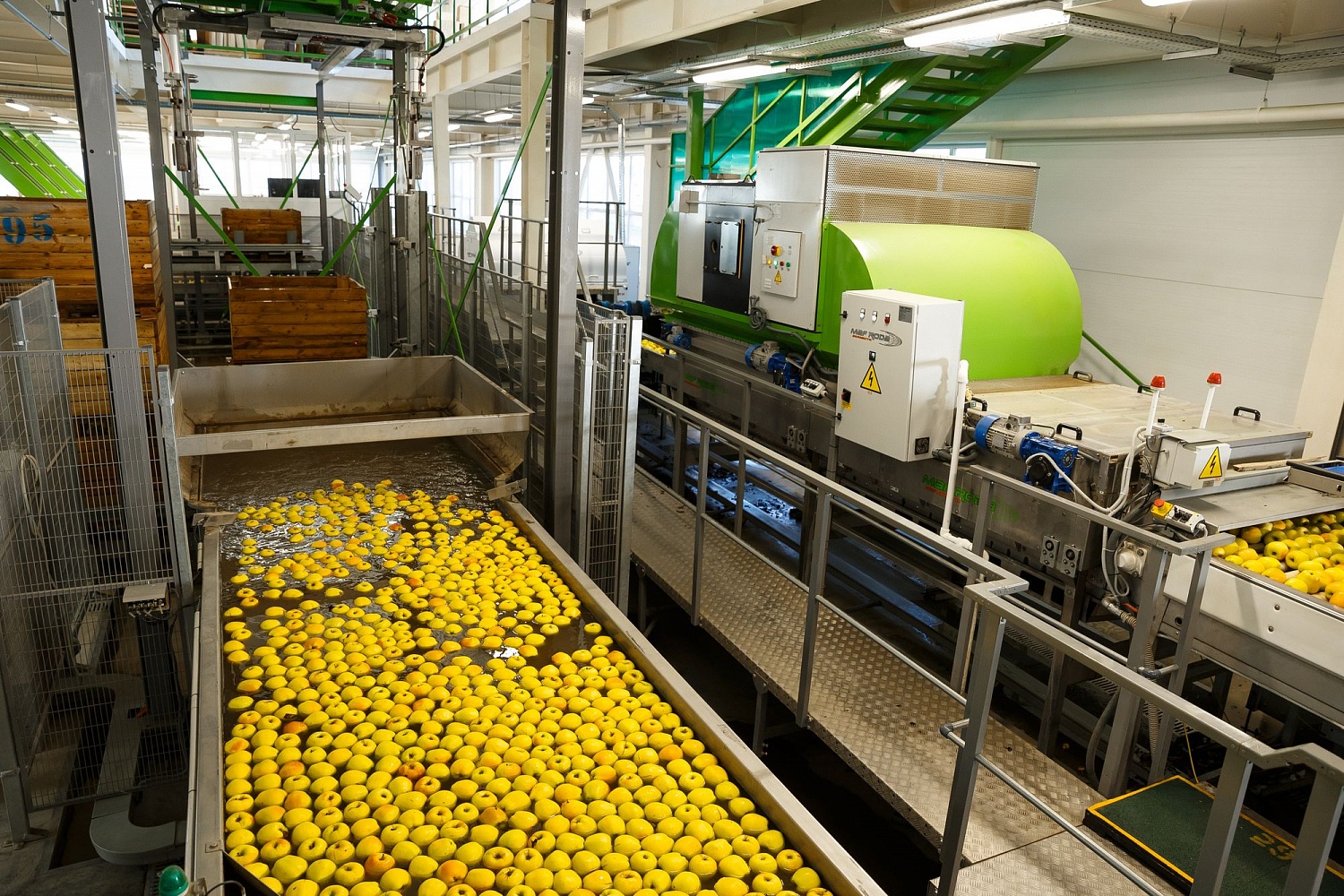 Сортировка яблок