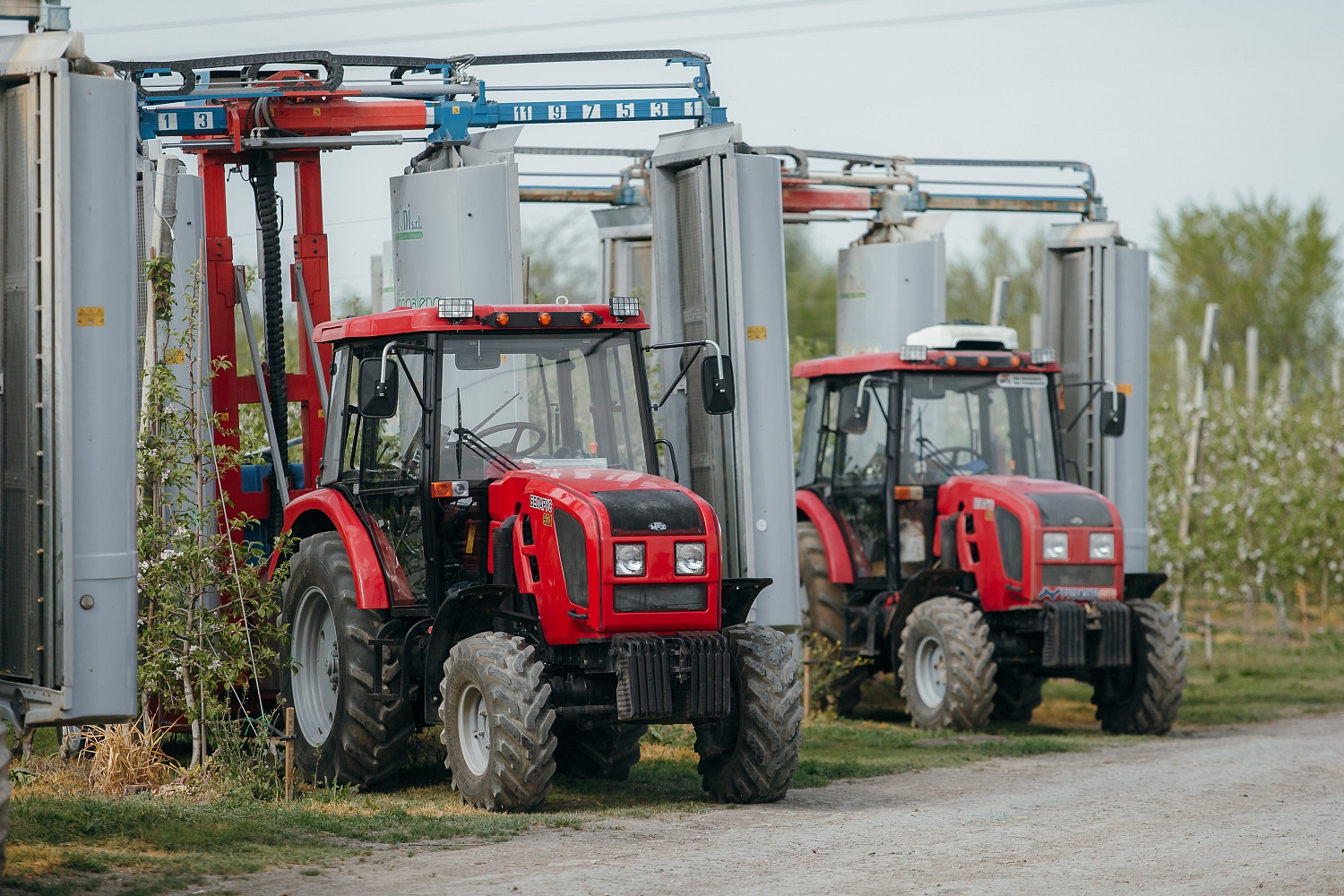 Уход за садом