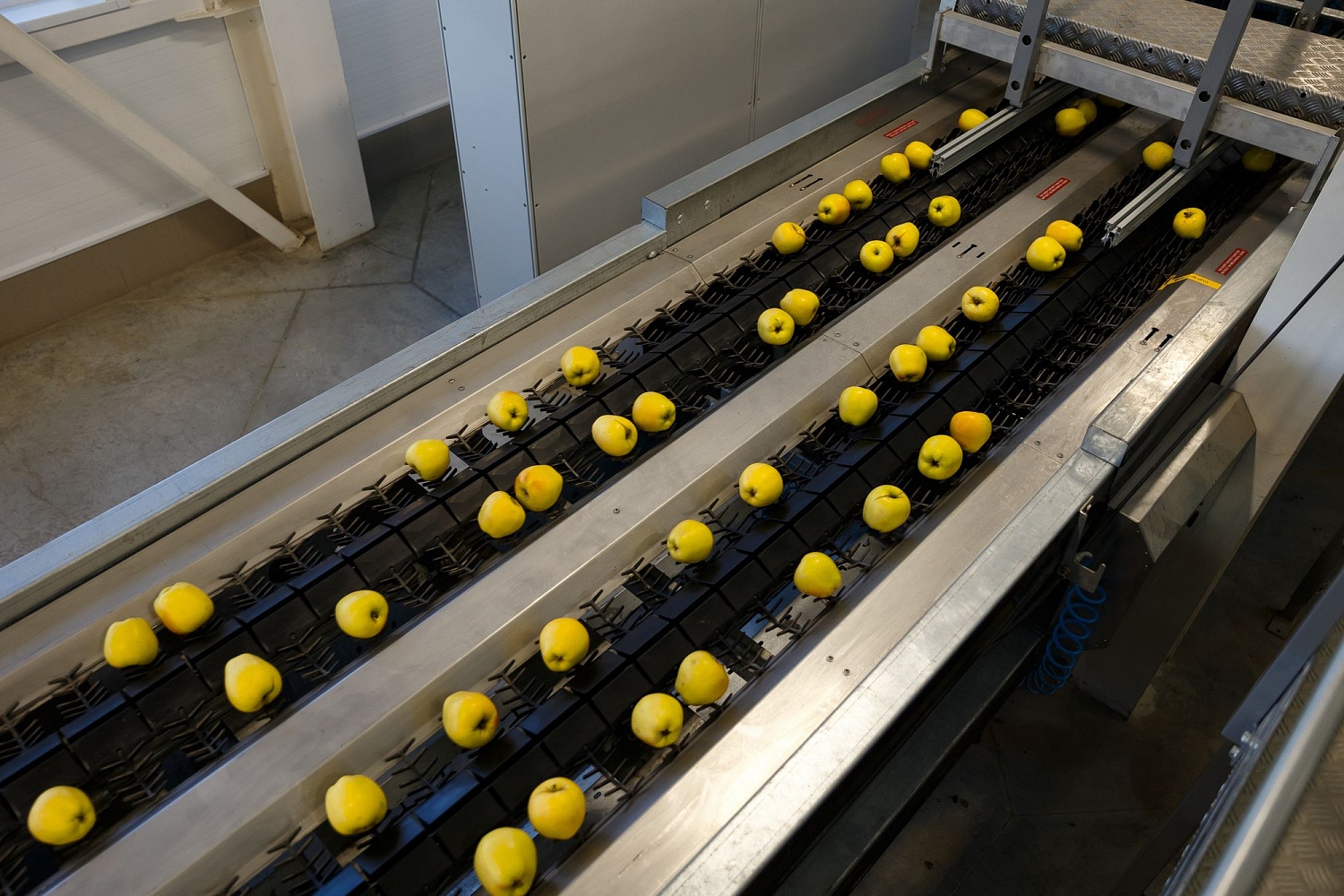 Сортировка яблок