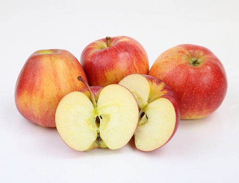 Гала Schnico Red (Gala SchniCo(S) Red Schniga)