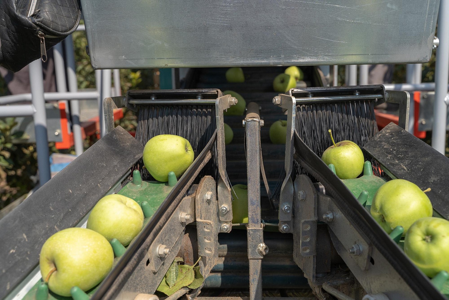 Сады посетил Министр сельского хозяйства РК