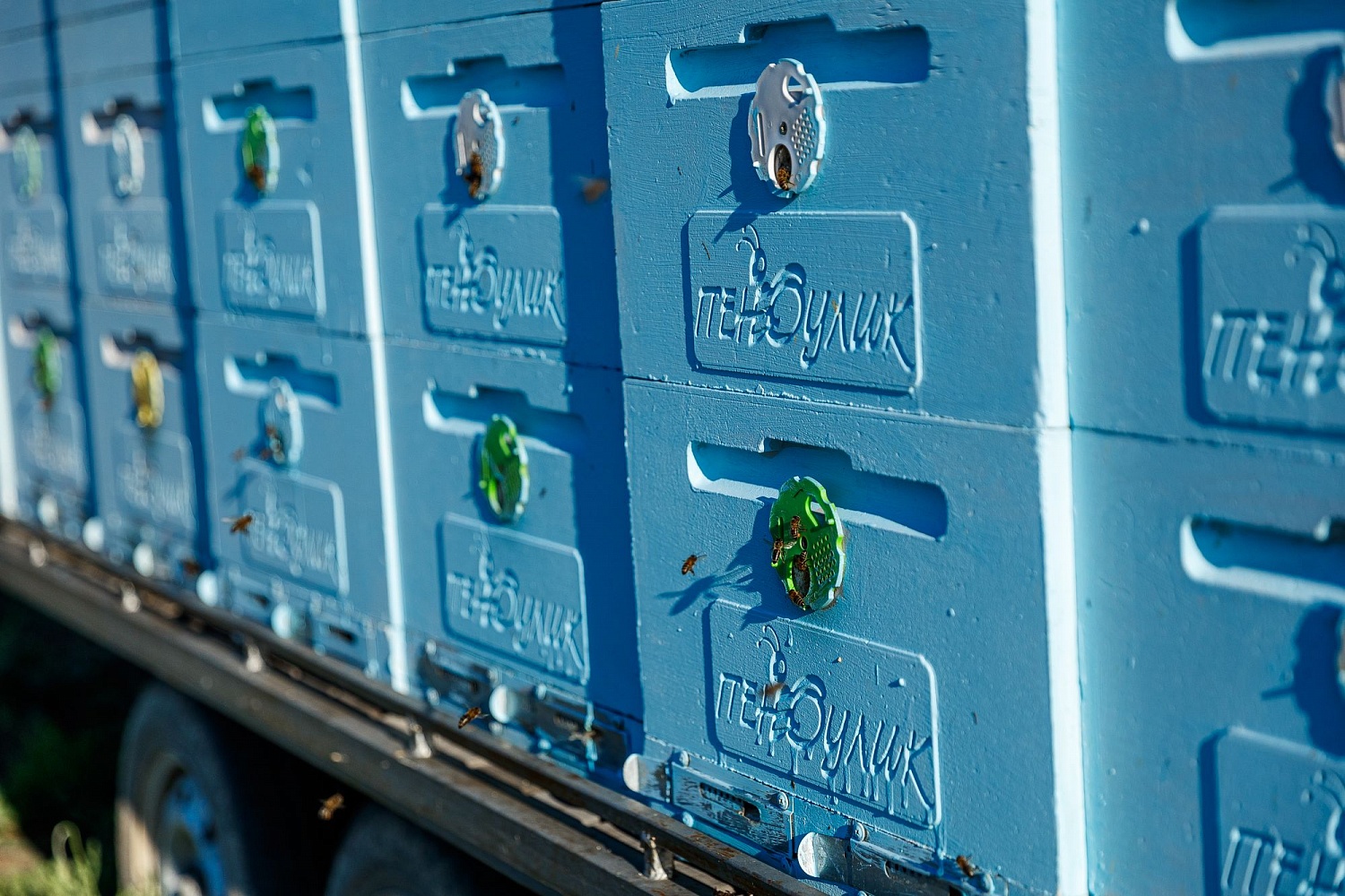 Опыление цветущих садов