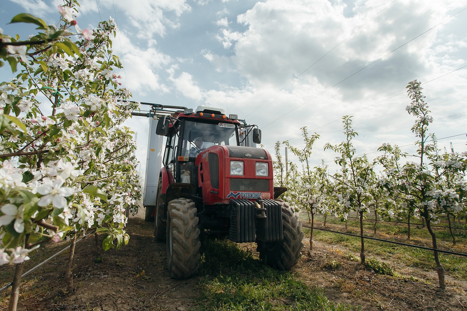 Уход за садом