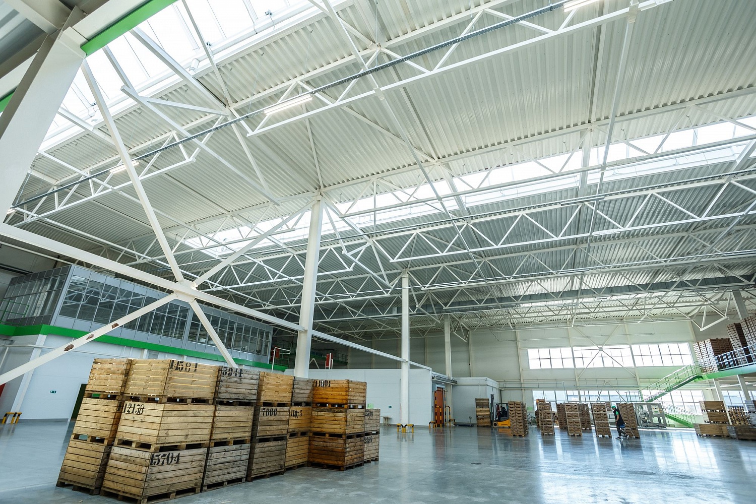 Хранение яблок