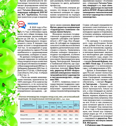 Интенсивное садоводство в России: перспектива, темпы, острые вопросы