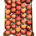 Фуджи (Fuji)
