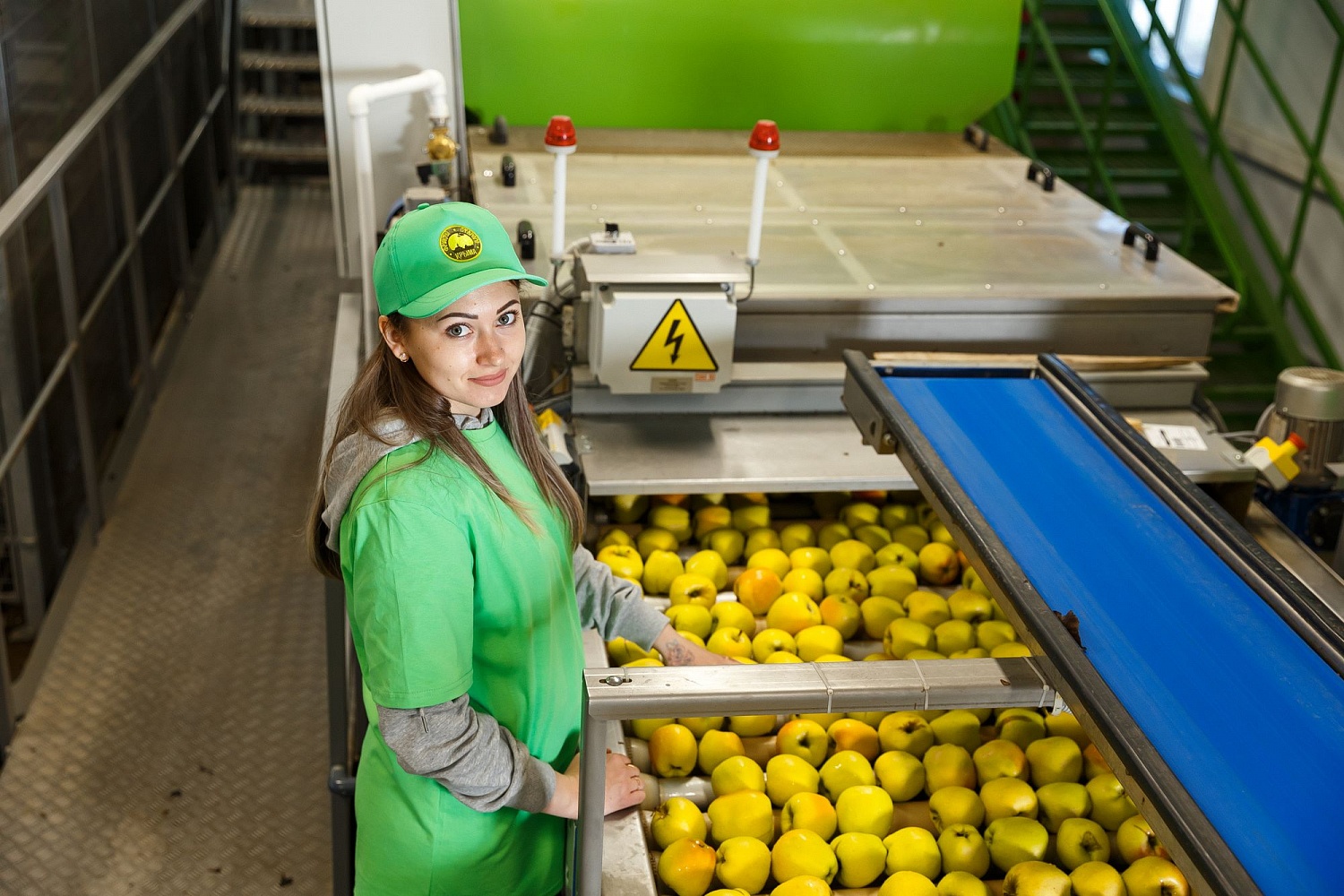 Сортировка яблок