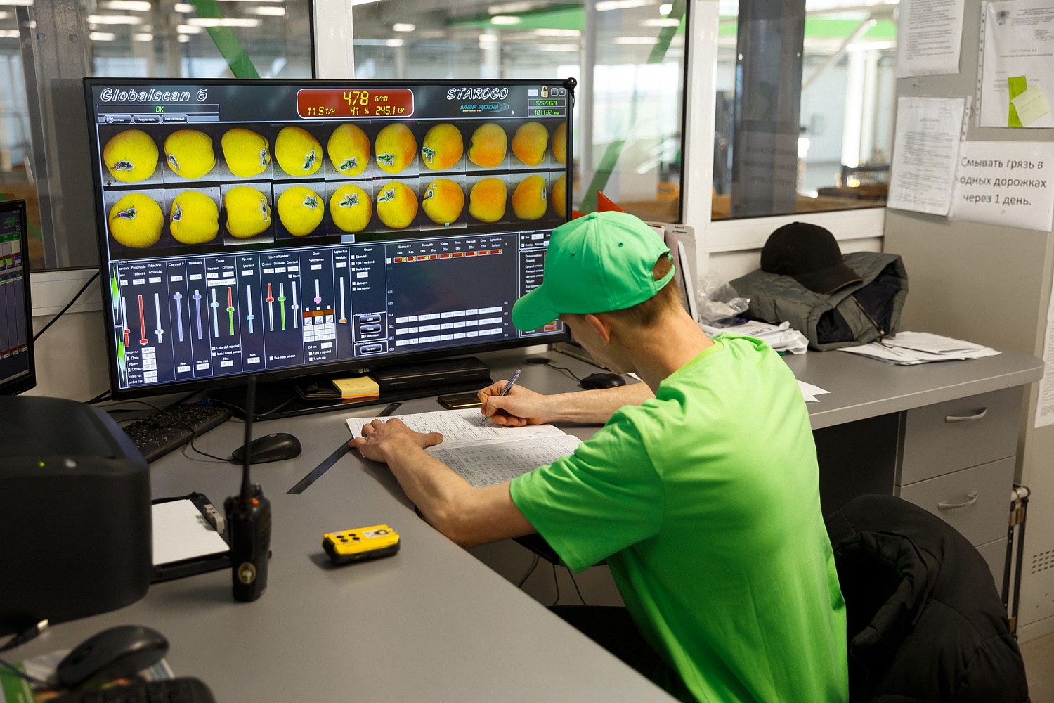 Сортировка яблок