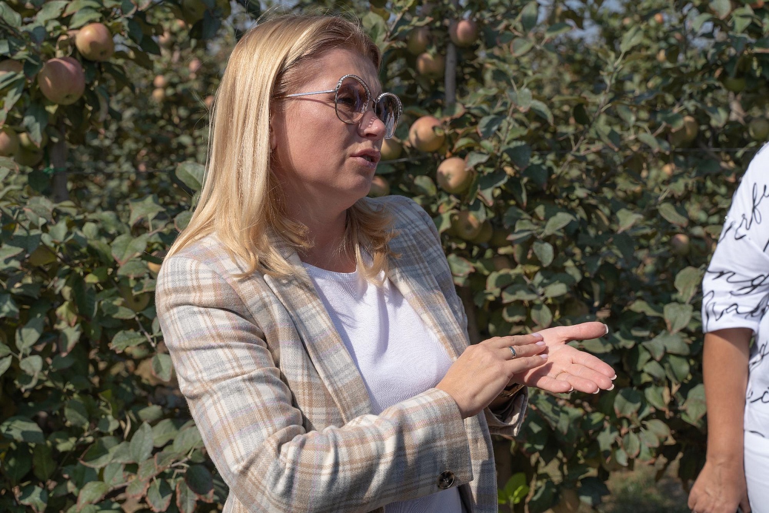 Сады посетил Министр сельского хозяйства РК