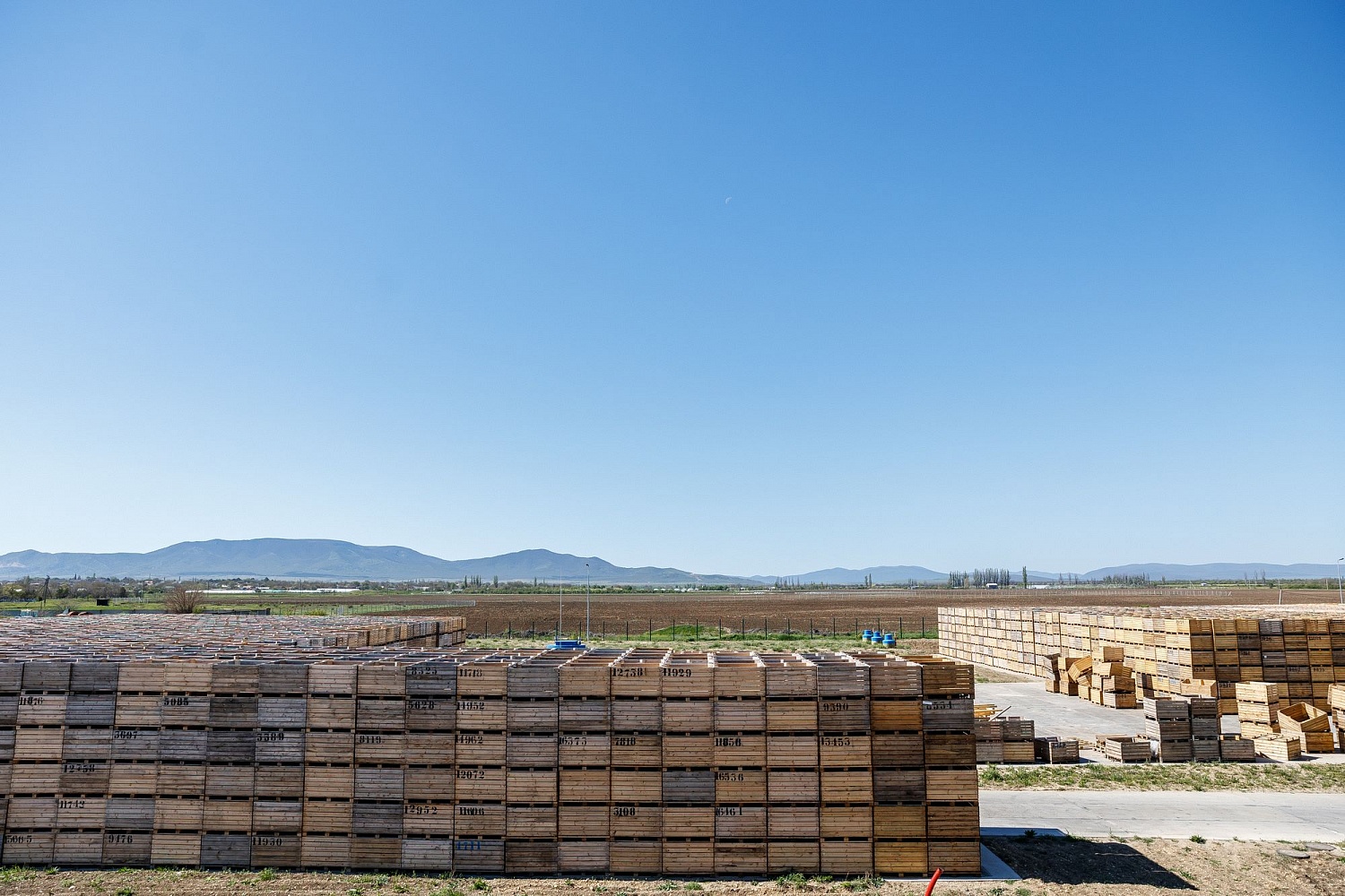 Хранение яблок